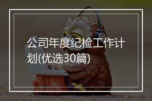 公司年度纪检工作计划(优选30篇)