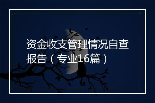 资金收支管理情况自查报告(专业16篇)