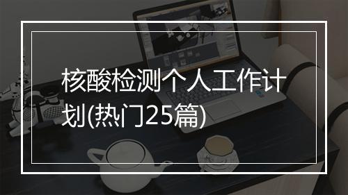 核酸检测个人工作计划(热门25篇)