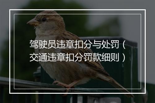 驾驶员违章扣分与处罚(交通违章扣分罚款细则)