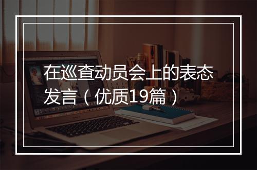 在巡查动员会上的表态发言(优质19篇)