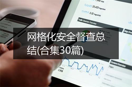 网格化安全督查总结(合集30篇)
