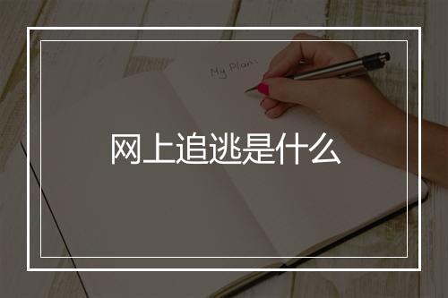网上追逃是什么