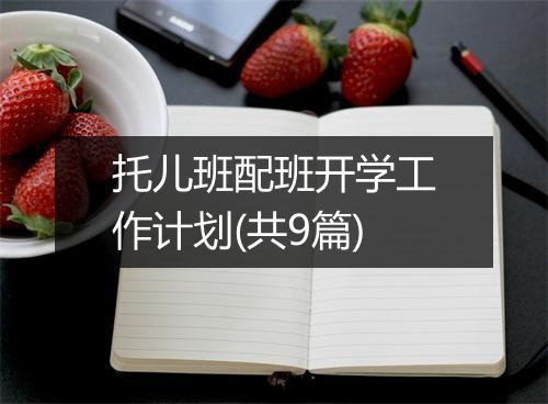 托儿班配班开学工作计划(共9篇)