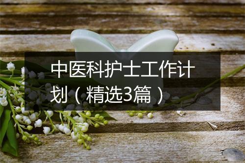 中医科护士工作计划(精选3篇)