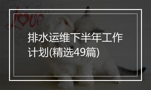 排水运维下半年工作计划(精选49篇)