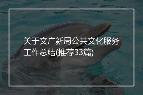 关于文广新局公共文化服务工作总结(推荐33篇)