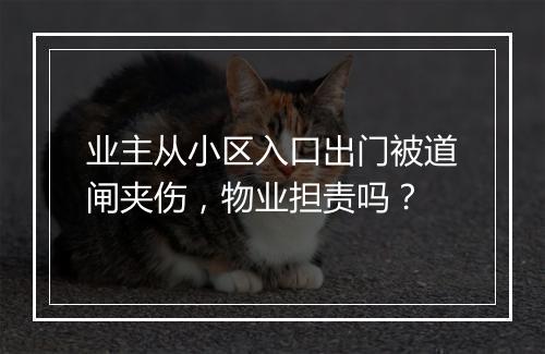 业主从小区入口出门被道闸夹伤,物业担责吗?