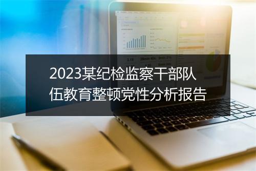 2023某纪检监察干部队伍教育整顿党性分析报告
