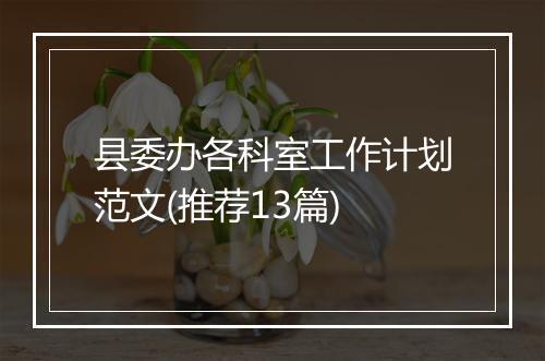 县委办各科室工作计划范文(推荐13篇)