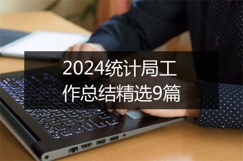 2024统计局工作总结精选9篇