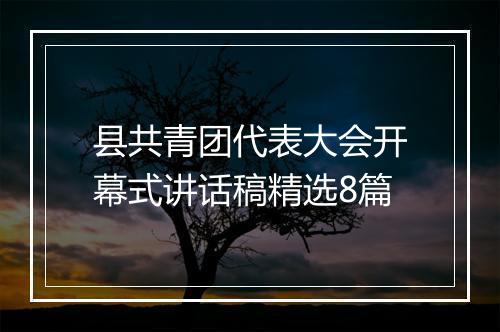 县共青团代表大会开幕式讲话稿精选8篇