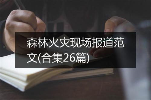 森林火灾现场报道范文(合集26篇)