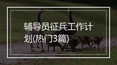 辅导员征兵工作计划(热门3篇)