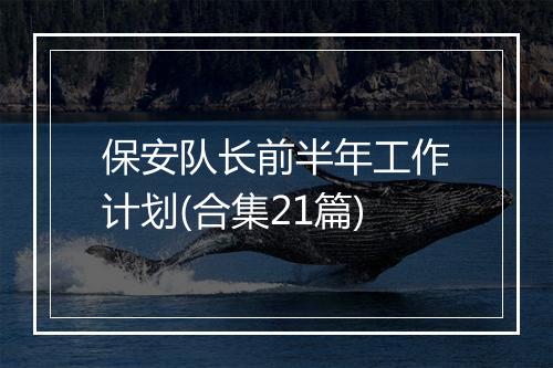 保安队长前半年工作计划(合集21篇)