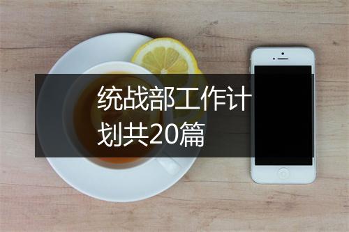 统战部工作计划共20篇