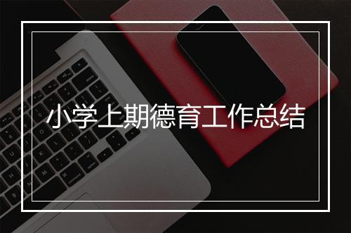 小学上期德育工作总结