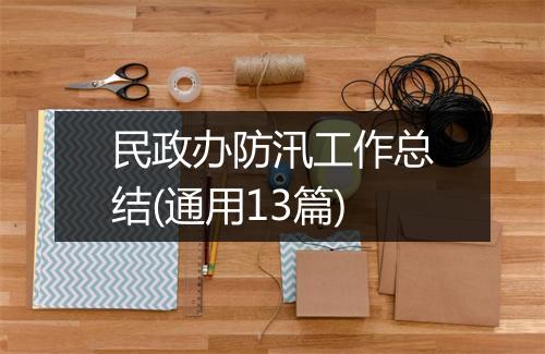 民政办防汛工作总结(通用13篇)