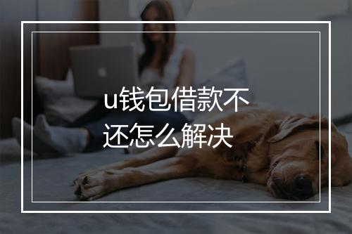 u钱包借款不还怎么解决