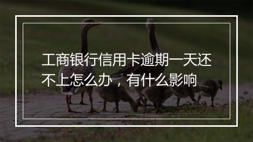 工商银行信用卡逾期一天还不上怎么办,有什么影响