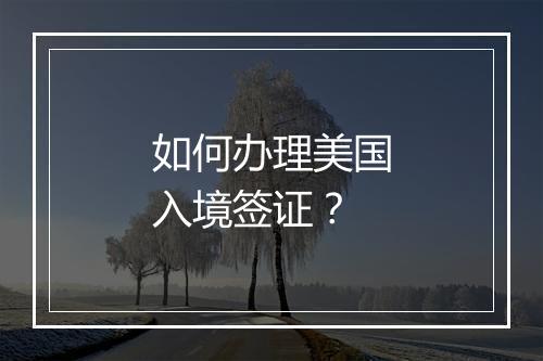 如何办理美国入境签证?