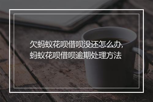 欠蚂蚁花呗借呗没还怎么办,蚂蚁花呗借呗逾期处理方法