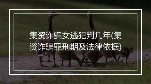集资诈骗女逃犯判几年(集资诈骗罪刑期及法律依据)