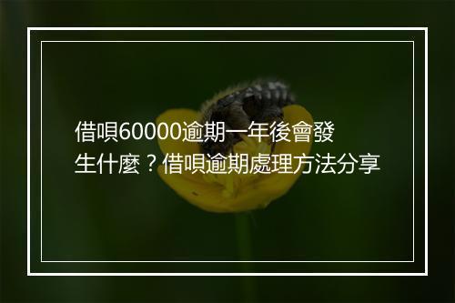 借唄60000逾期一年後會發生什麼?借唄逾期處理方法分享