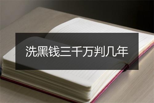 洗黑钱三千万判几年