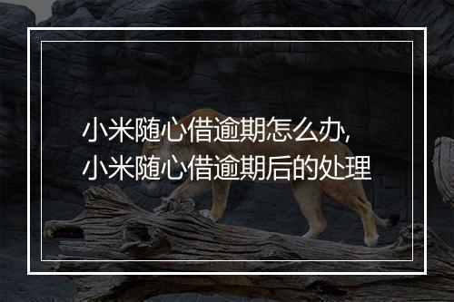 小米随心借逾期怎么办,小米随心借逾期后的处理