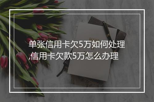 单张信用卡欠5万如何处理,信用卡欠款5万怎么办理