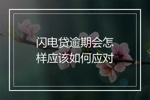 闪电贷逾期会怎样应该如何应对