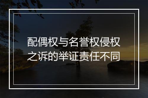 配偶权与名誉权侵权之诉的举证责任不同