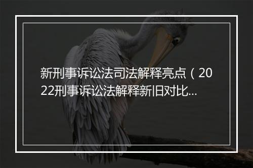 新刑事诉讼法司法解释亮点(2022刑事诉讼法解释新旧对比)