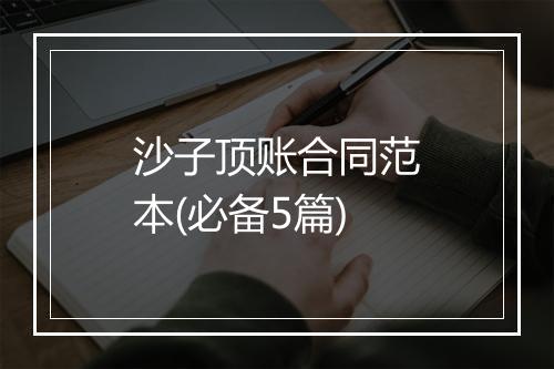 沙子顶账合同范本(必备5篇)