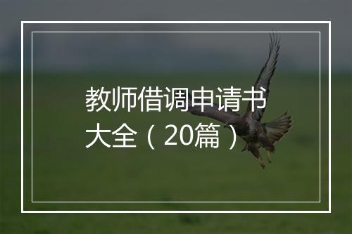 教师借调申请书大全(20篇)