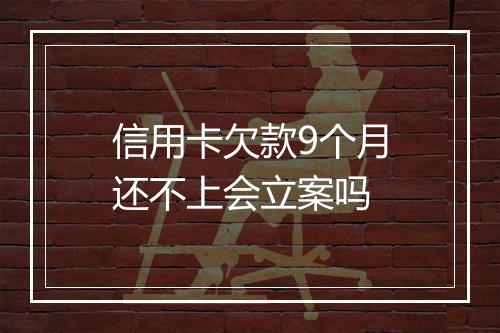 信用卡欠款9个月还不上会立案吗
