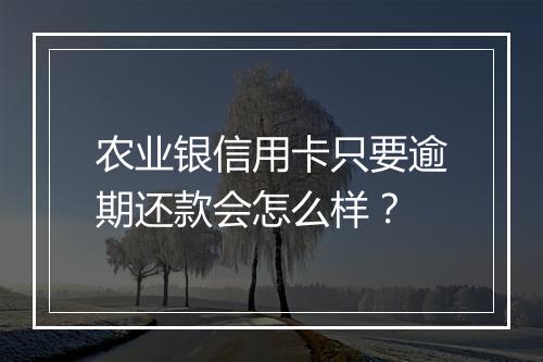 农业银信用卡只要逾期还款会怎么样?