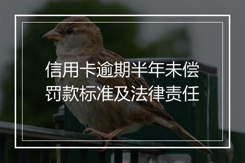 信用卡逾期半年未偿罚款标准及法律责任