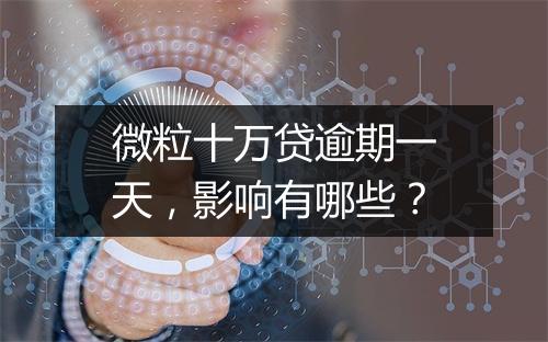 微粒十万贷逾期一天,影响有哪些?