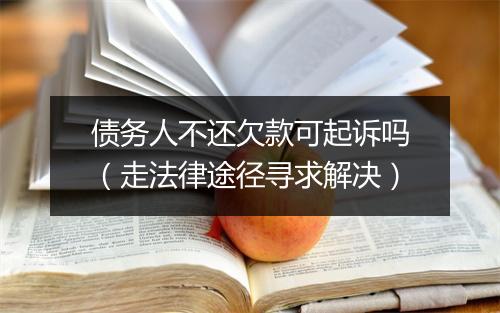 债务人不还欠款可起诉吗(走法律途径寻求解决)