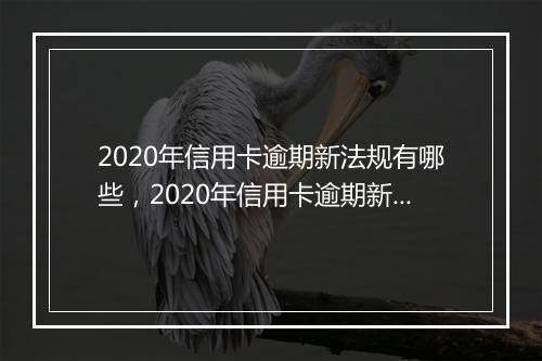 2020年信用卡逾期新法规有哪些,2020年信用卡逾期新法规