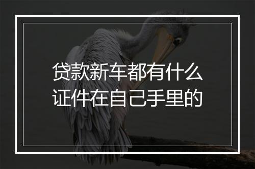 贷款新车都有什么证件在自己手里的