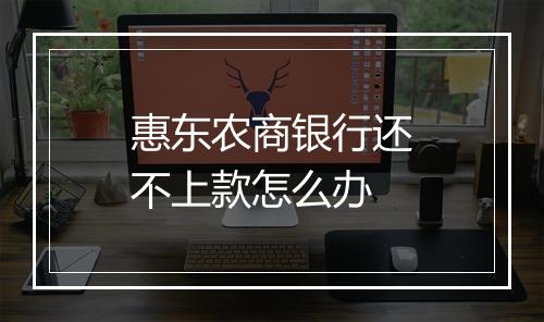 惠东农商银行还不上款怎么办