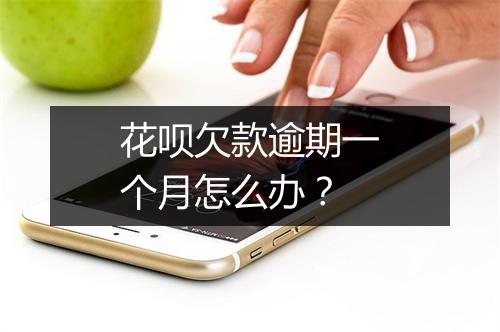 花呗欠款逾期一个月怎么办?