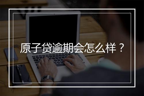 原子贷逾期会怎么样?