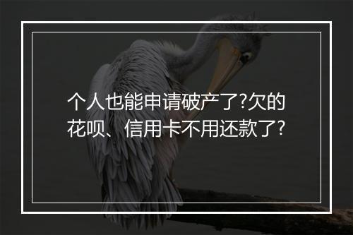 个人也能申请破产了?欠的花呗、信用卡不用还款了?