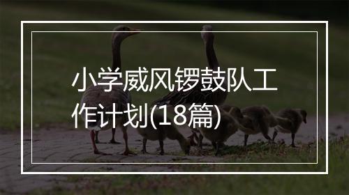 小学威风锣鼓队工作计划(18篇)