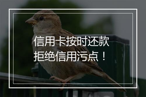 信用卡按时还款 拒绝信用污点!