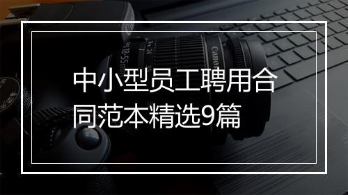 中小型员工聘用合同范本精选9篇